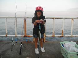 南港海釣り公園　アジを中心にサバ、タチウオ…