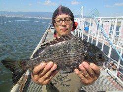 立派なチヌに鈴なりのアジ!尼崎市魚つり公園