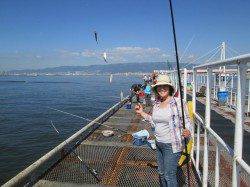 立派なチヌに鈴なりのアジ!尼崎市魚つり公園