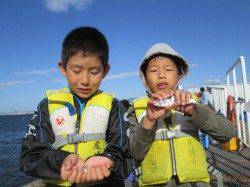 サビキ釣りでアジにツバス!サンバソウ・カワハギは減ってきました。