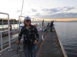 【アジは伸び悩み、サヨリは数揚がっています】尼崎市魚つり公園