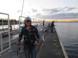 【アジは伸び悩み、サヨリは数揚がっています…