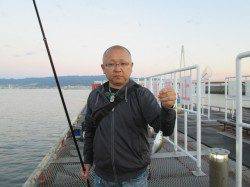 【アジは伸び悩み、サヨリは数揚がっています】尼崎市魚つり公園