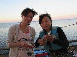 尼崎市魚つり公園　アジを中心に多魚種楽しめる