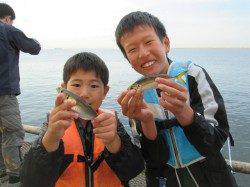 尼崎市魚つり公園　サビキのアジの他、サバ、サヨリ、ツバスも狙い目