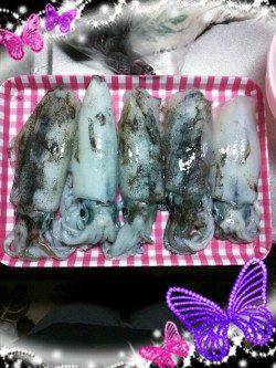 久美浜　エギングでのアオリイカは3人で30パイ前後☆