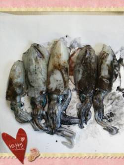 久美浜　追い風の中でのエギング＆シーバス釣…