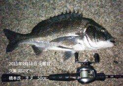 久美浜チニングで年なし50㎝！