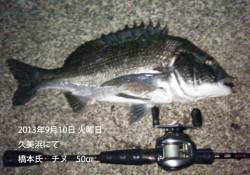 久美浜チニングで年なし50㎝！