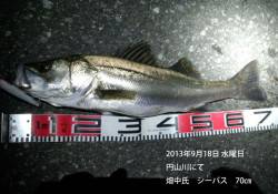 円山川、シーバスゲーム　〜良サイズが出てい…