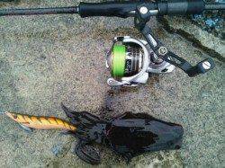 香住東港、状況は悪いですがアオリは元気でした