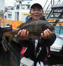 沖一文字スリット3番で良型チヌを落とし込みで！