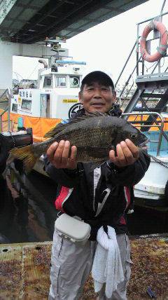 沖一文字スリット3番で良型チヌを落とし込み…