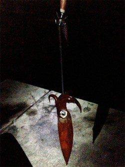 明石港、アオリイカは、順調に大きくなっていました