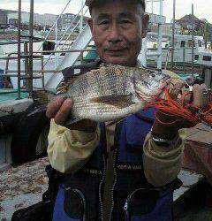 沖一文字スリットで落とし込み、チヌの釣果