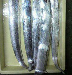 岸和田一文字　ルアーでタチウオ〜85cm5匹