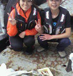 岸和田一文字、アジのサイズも少し大きくなってます