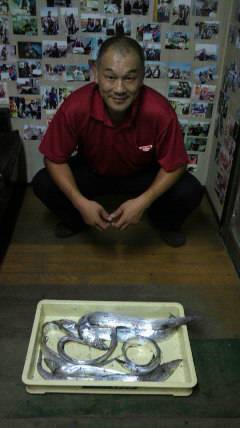 岸和田一文字　タチウオの釣果は次第に上向き…