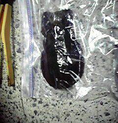 新井崎　連続釣行のエギングでアオリイカ狙い！