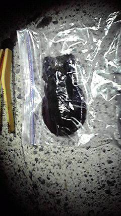 新井崎　連続釣行のエギングでアオリイカ狙い！