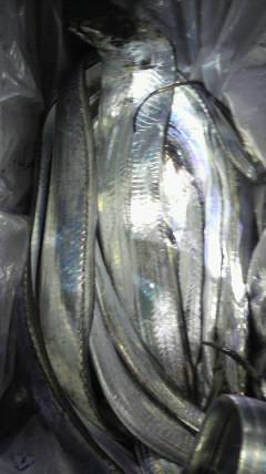 岸和田一文字　ルアーでタチウオ80cm前後…