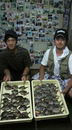 岸和田一文字　ムキエビのエサでカワハギ大漁釣果