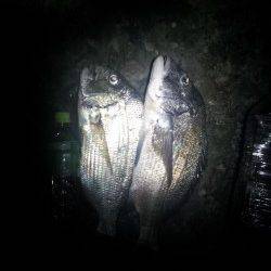 千里浜手前のワンドでフカセ釣り、ヘダイ・チヌ