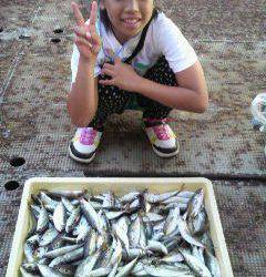 釣りガール、サビキで大漁　岸和田沖一文字での釣果