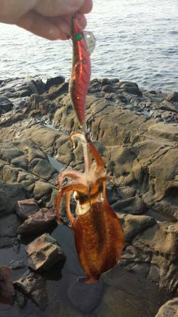 ステイでイカパンチ☆からのフリーフォールで…