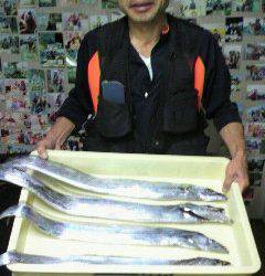 岸和田一文字　アジをエサにタチウオ〜90cmの釣果