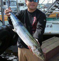 岸和田一文字　サワラ85cmの釣果も☆
