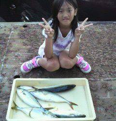 岸和田一文字　アジの飲ませ釣りでツバス〜39cm