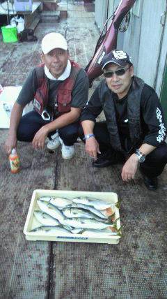 岸和田一文字　アジの飲ませ釣りでツバス〜39cm