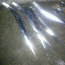 西宮でタチウオワインド、棚は着水後5～10秒ほど！