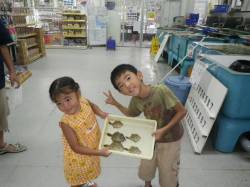 見草漁港でカワハギ、足下でつれたよ！