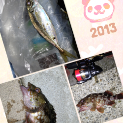 舞洲でのアジング、風とゴミで辛い中30匹以上の釣果！