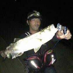 洲本、濁りでシーバス狙い！続いてアジング入れ食い！！