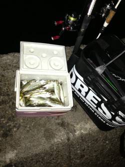 由良でアジング、パターンにハマり大爆釣