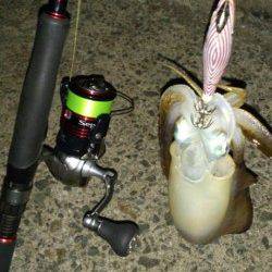 三尾でのナイトエギング、エギのサイズは2号