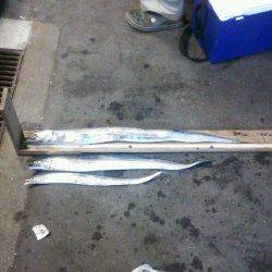 武庫川尻一文字でタチウオ釣り、周りではメーターオーバーも！