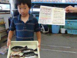 見老津と天神崎でサビキなどで六目達成☆