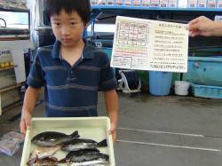 見老津と天神崎でサビキなどで六目達成☆