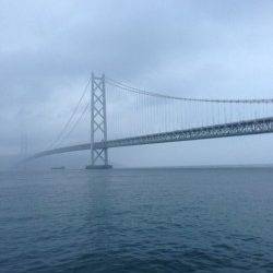 アジュール舞子　早朝エギングでケンサキ＆アオリイカ　サビキでアジも！