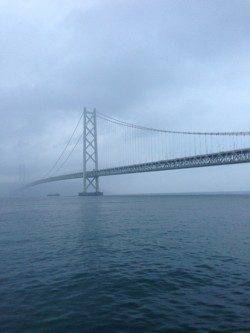 アジュール舞子　早朝エギングでケンサキ＆アオリイカ　サビキでアジも！