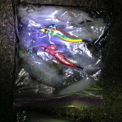 丸山　干潮からのランガンエギング