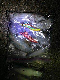 丸山　干潮からのランガンエギング