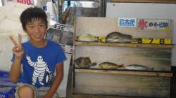 堺磯・平島の裏でのフカセ　多彩な釣果です