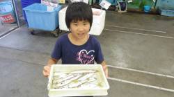 はねた漁港　お子様がサビキ釣りでカマス・ア…