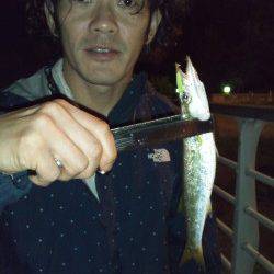 舞洲　深夜12時からのアジング＆サビキ釣り