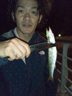 舞洲　深夜12時からのアジング＆サビキ釣り